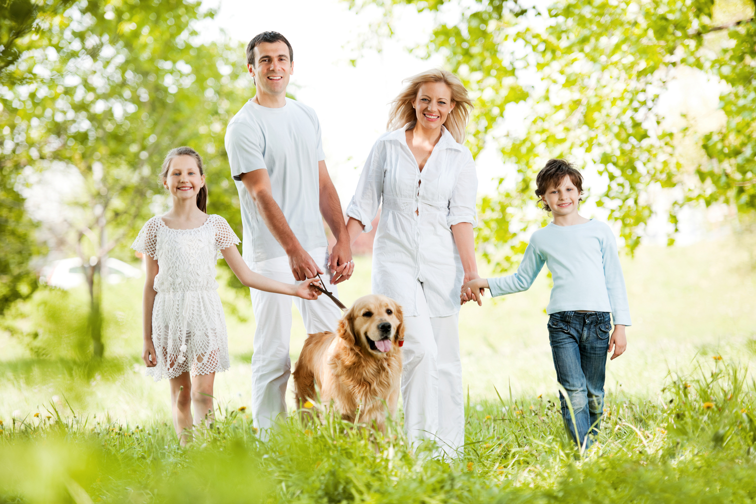 Beautiful family of four are walking their golden retriever in the park.